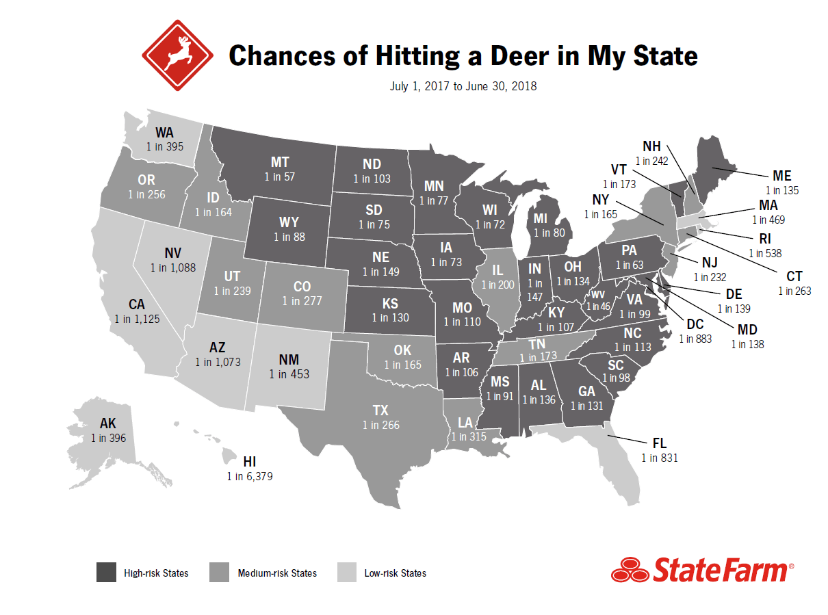 Deer Crashes Down, But Be Alert in the Fall State Farm