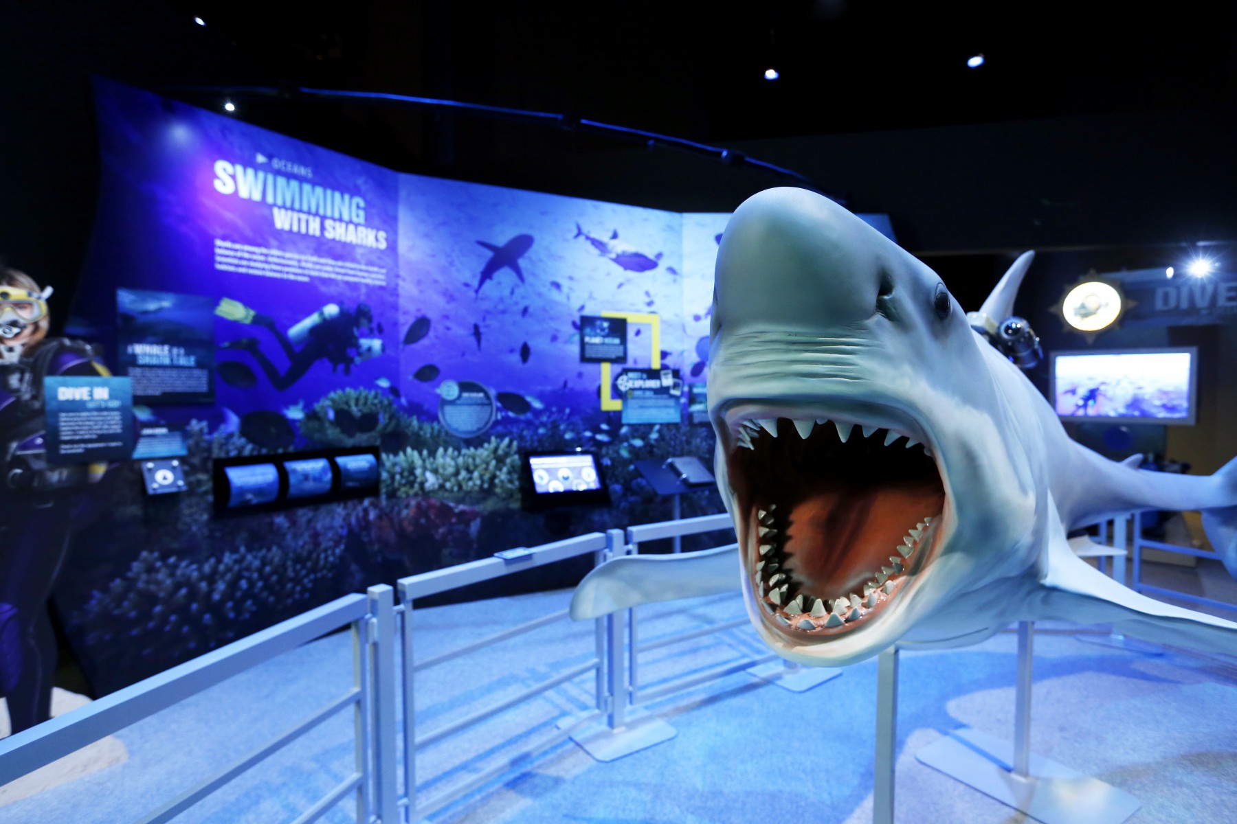 ‘Earth Explorers’ Exhibition Opens Feb. 10 at the National Geographic