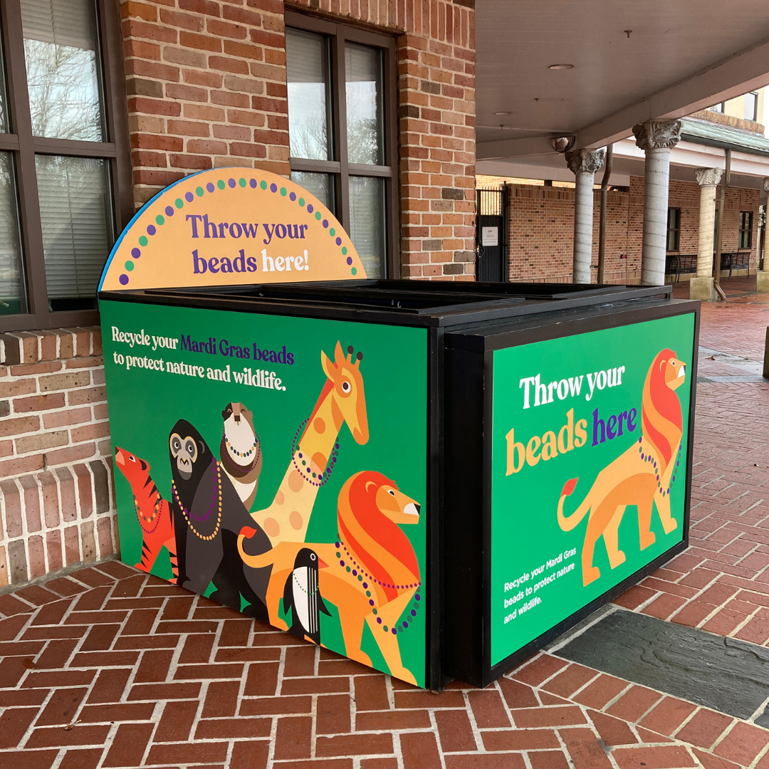 Audubon Zoo and Audubon Aquarium of the Americas Collecting Mardi Gras