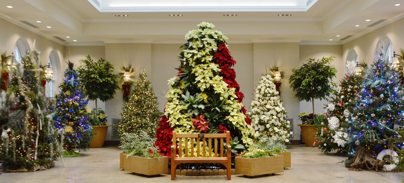 Hershey Gardens Celebrates with the Holidays with Christmas Trees, Kids’ Crafts and Santa