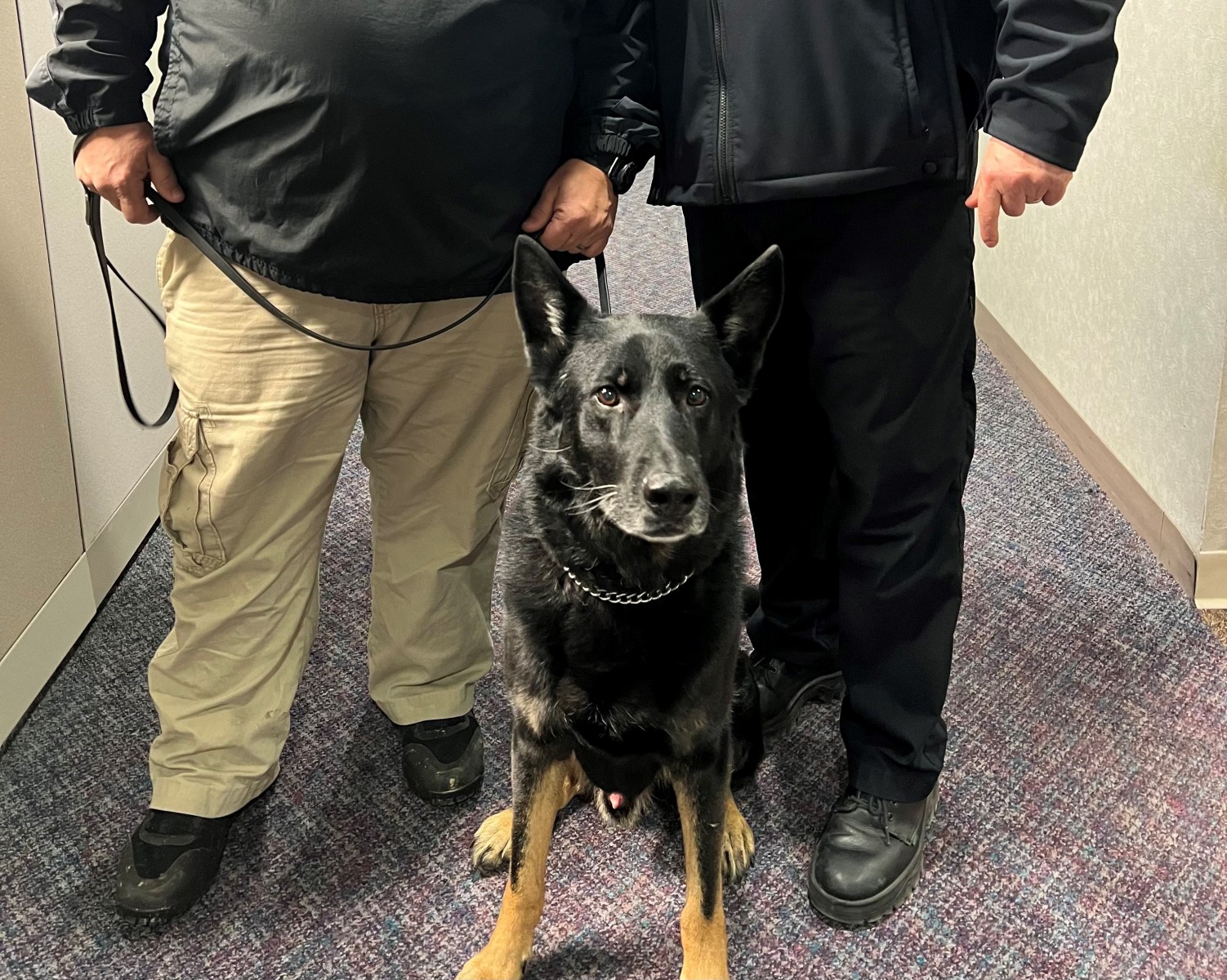 MetroHealth Police Department Receives Grant to Add New K9