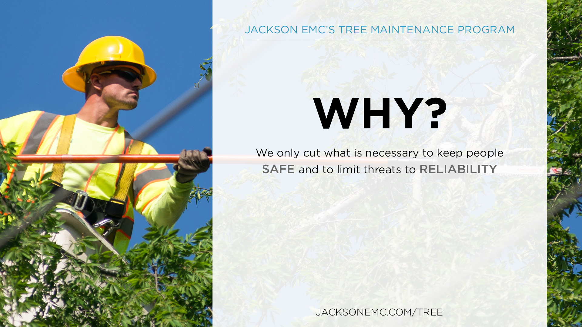 Jackson EMC's Tree Maintenance Program