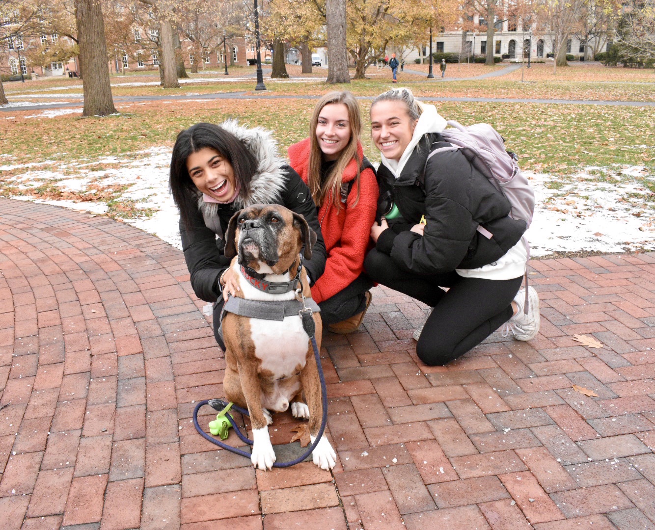 Ohio State Wexner Medical Center’s Buckeye Paws program expanding to