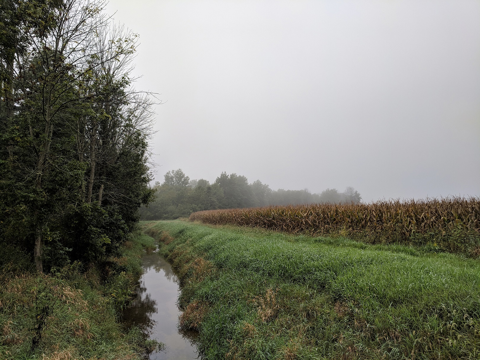 Ohio State to lead 18 million project to improve Lake Erie water quality