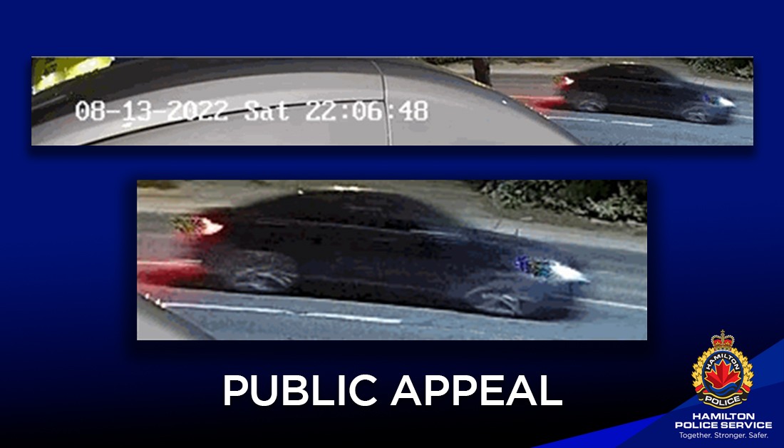 Police Seek Assistance in Vehicle Arson Investigation