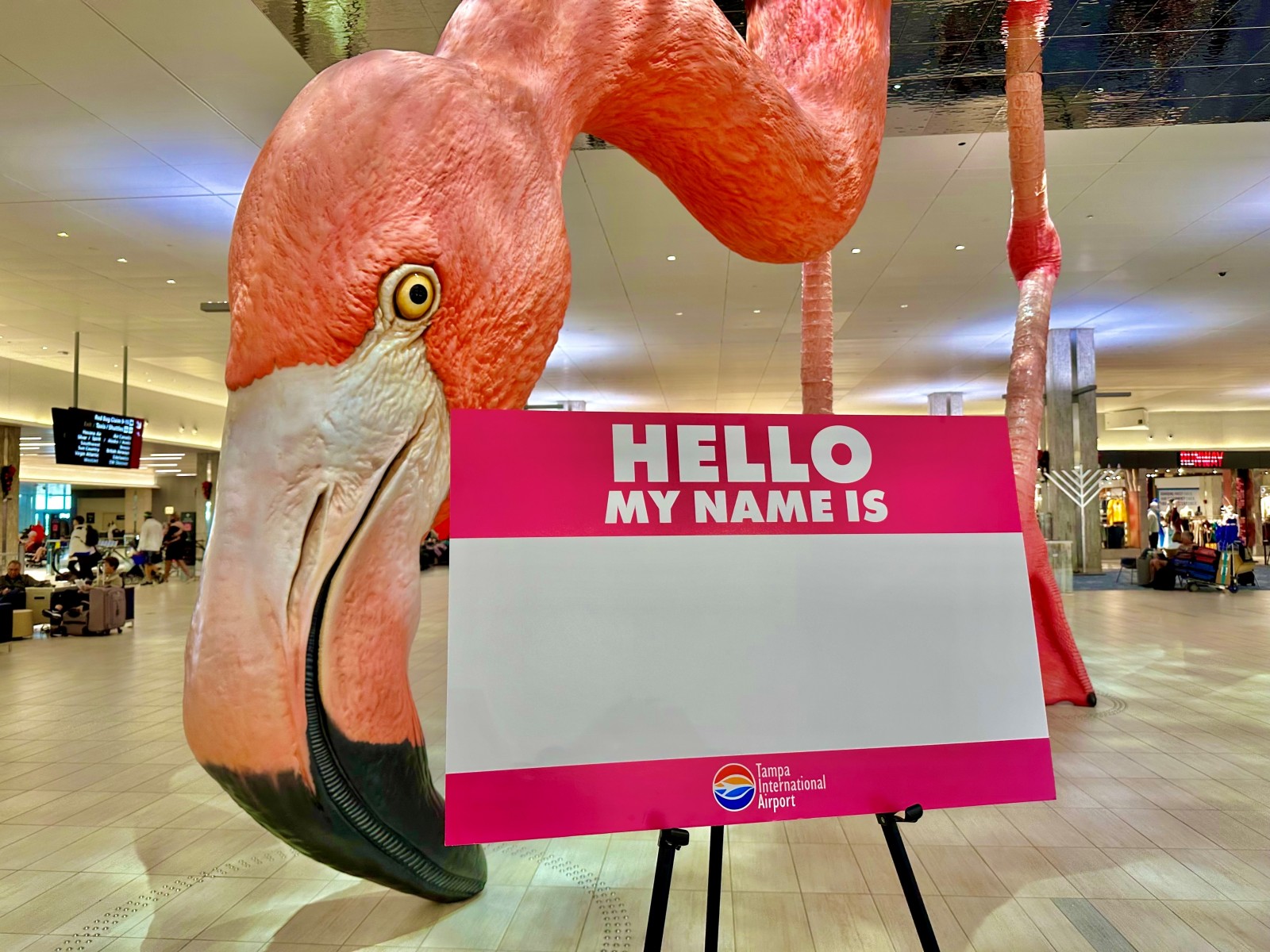 Name the Flamingo contest announcement delayed as judges review more than 65,000 entries