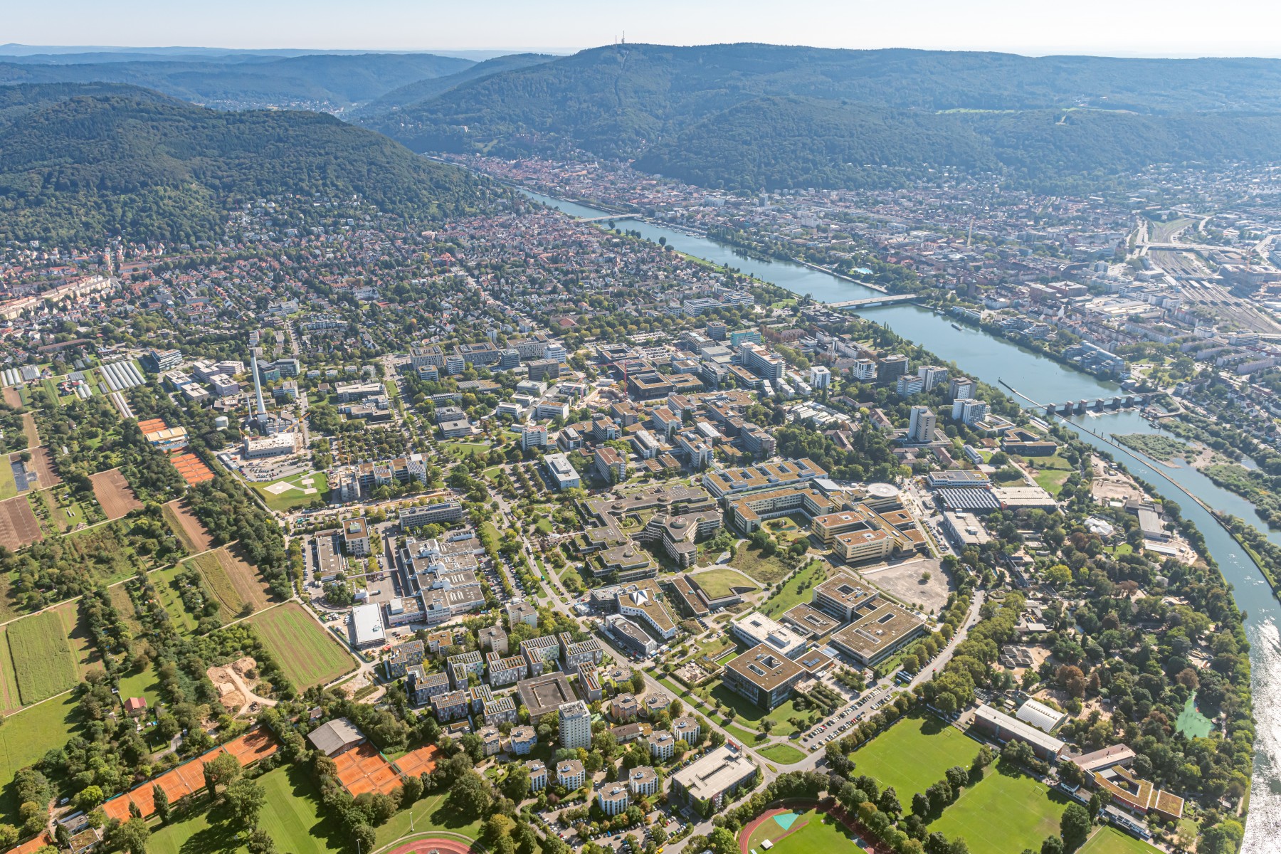Universitätsklinikverbund Heidelberg / Mannheim große Chancen durch