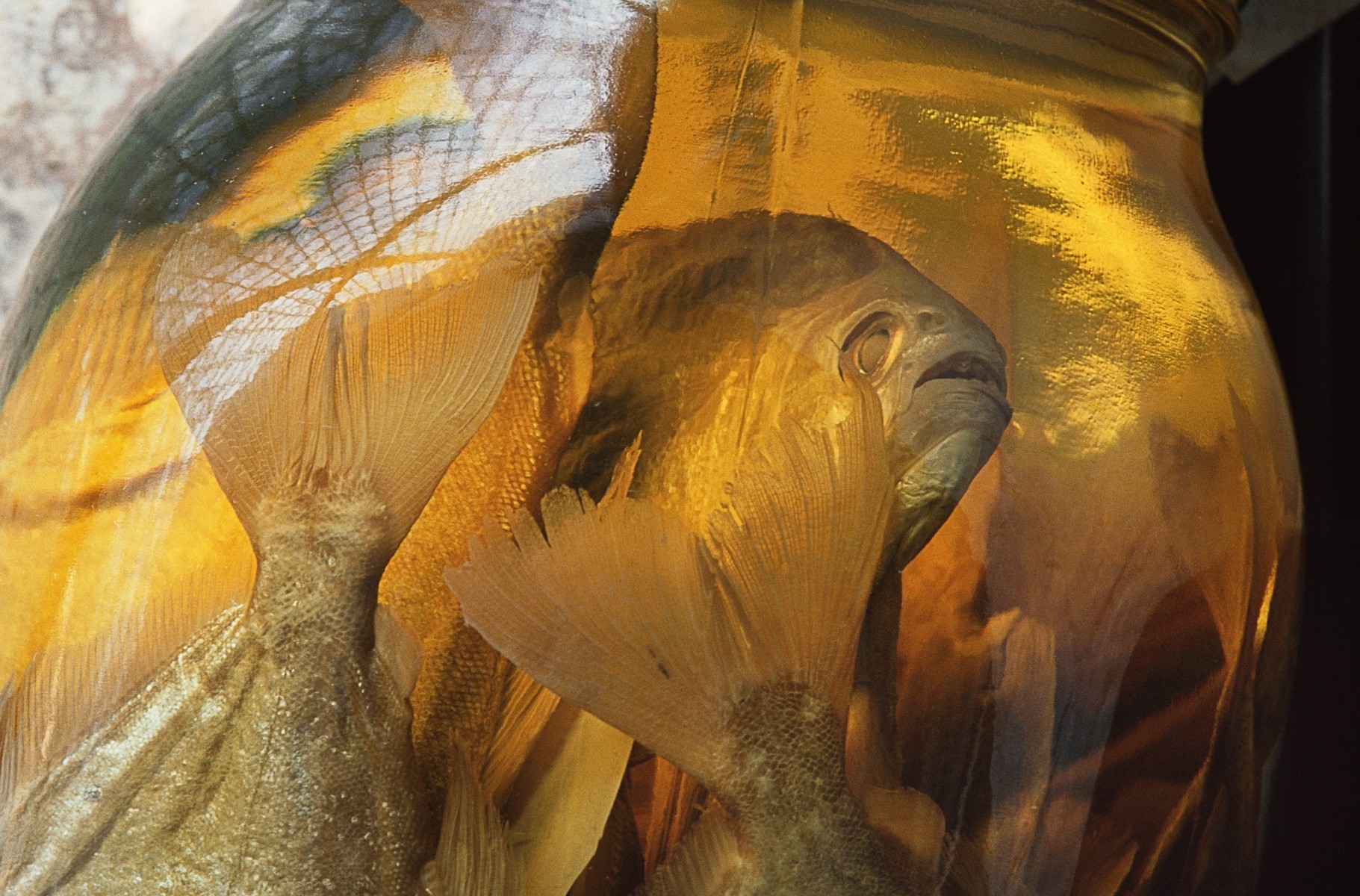 First Retrospective of Photographer and Conceptual Artist Rosamond