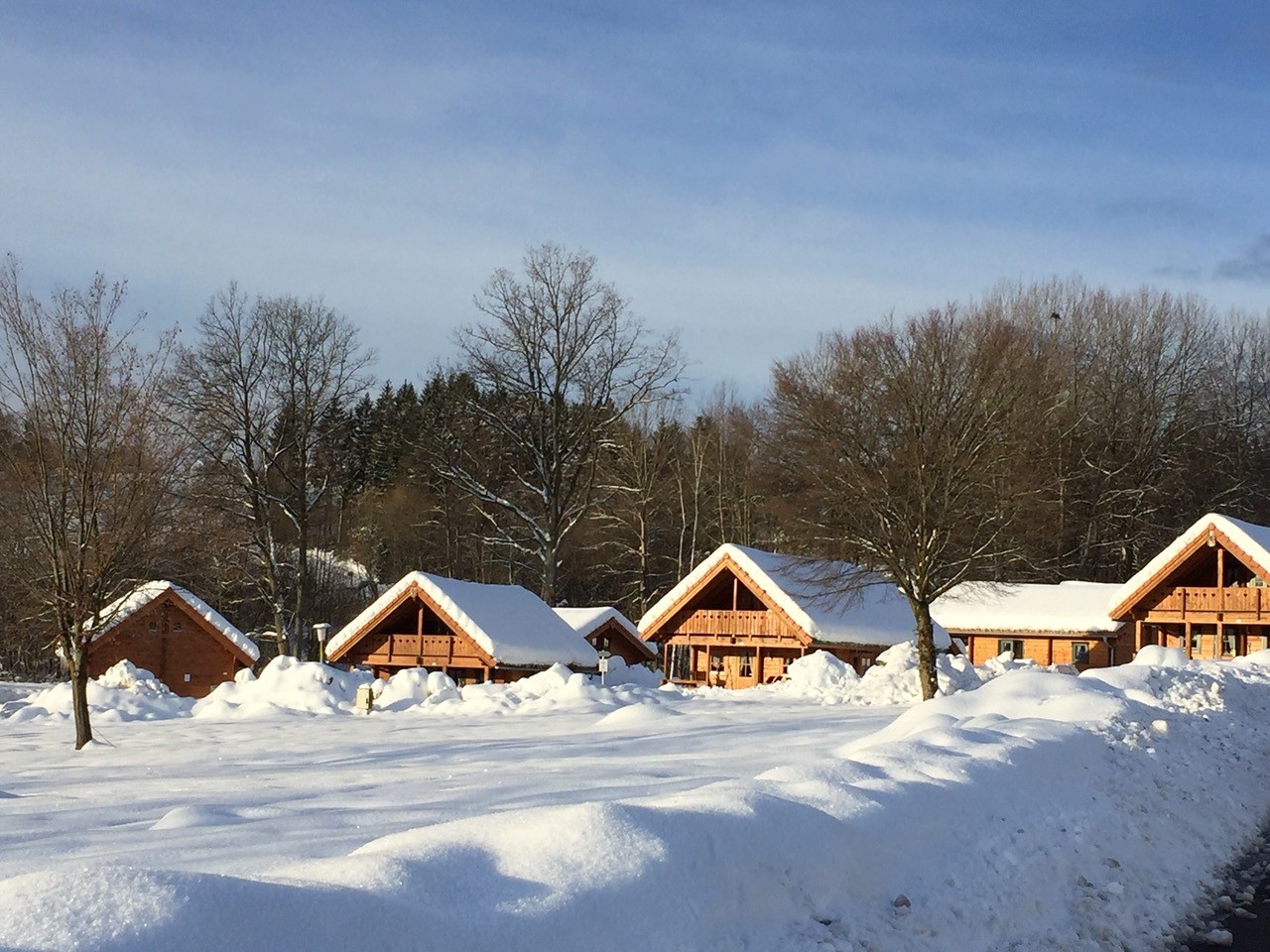 Nieuw vakantiepark in Beierse Woud markeert expansie Landal GreenParks