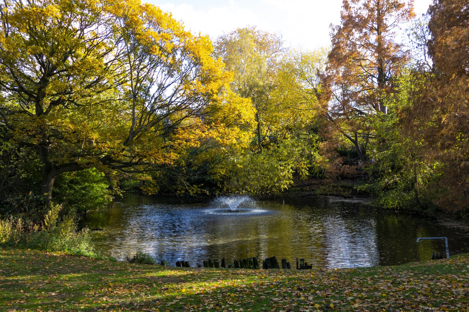 Springfield Park event launches Hackney’s Platinum Jubilee weekend