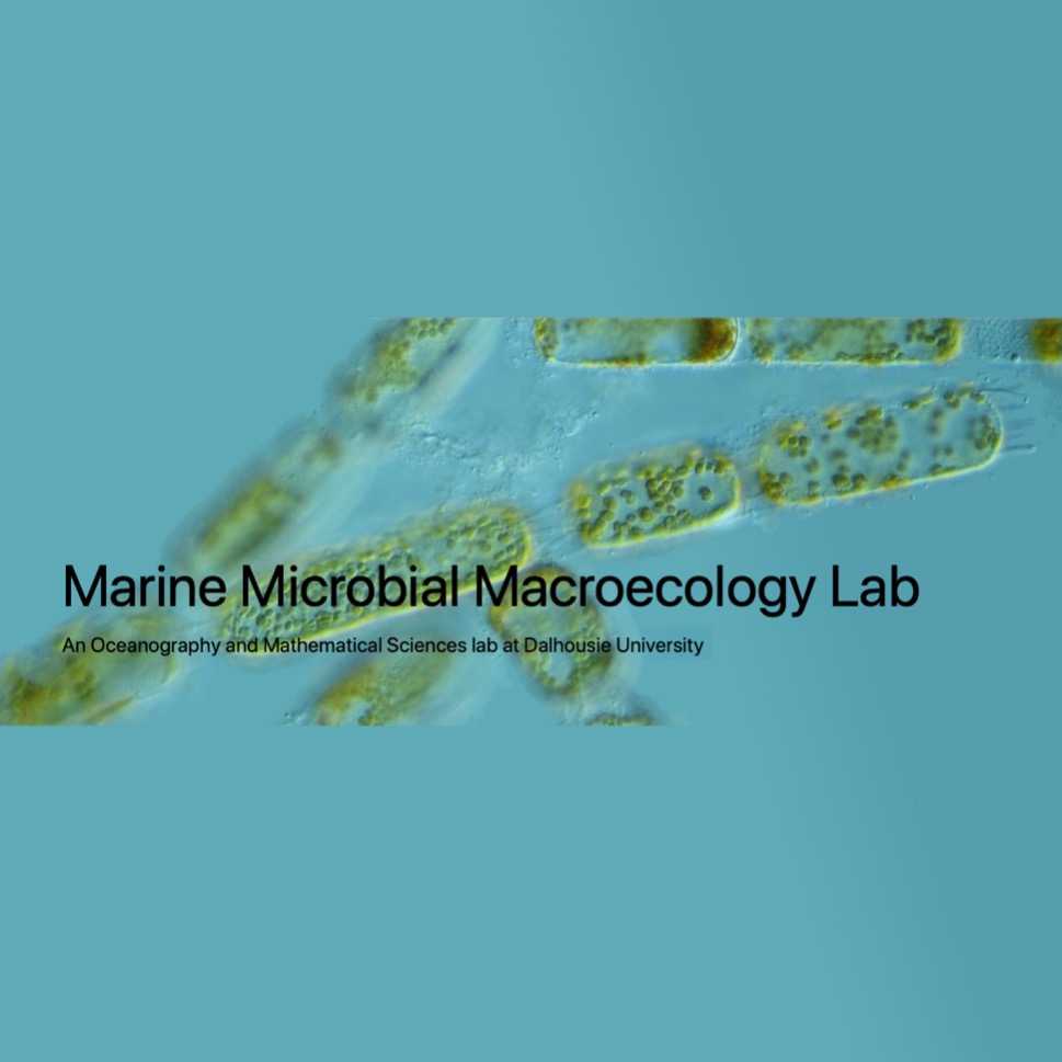 Standard operating procedure of glassware cleaning