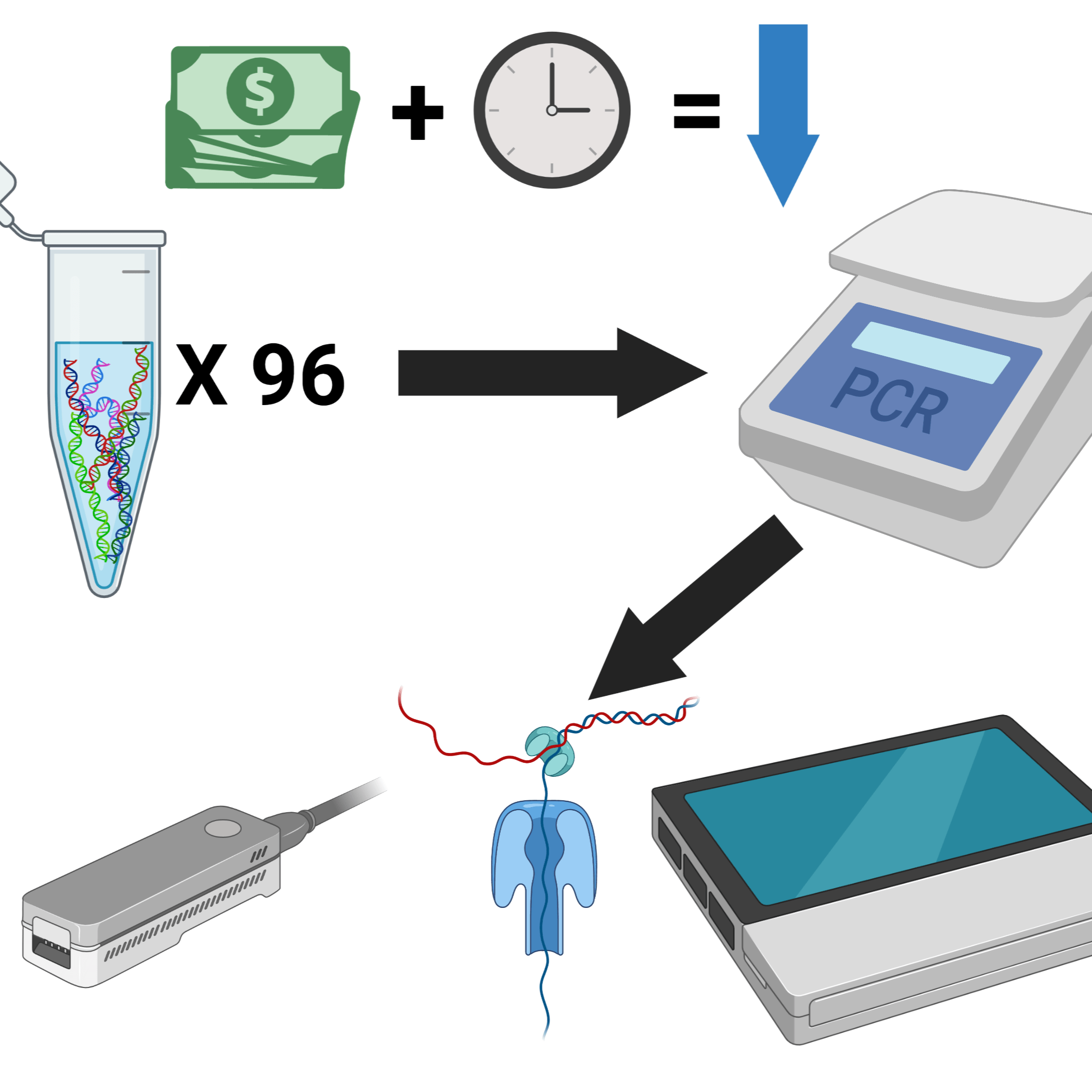 A streamlined protocol for highthroughput amplificationbased analysis