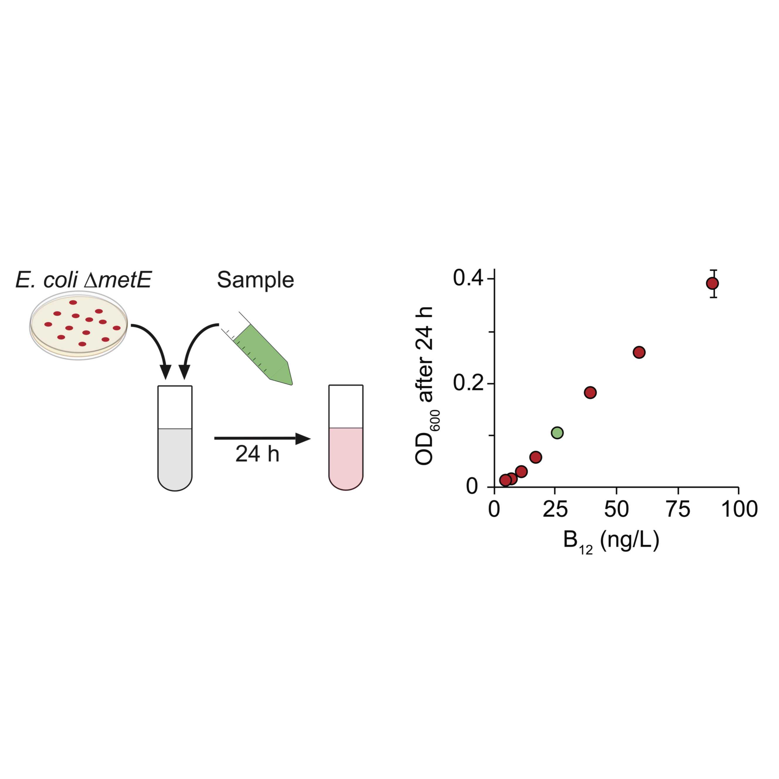 Quantitative detection of vitamin B12 in algae by bioassay and ICPMS/MS