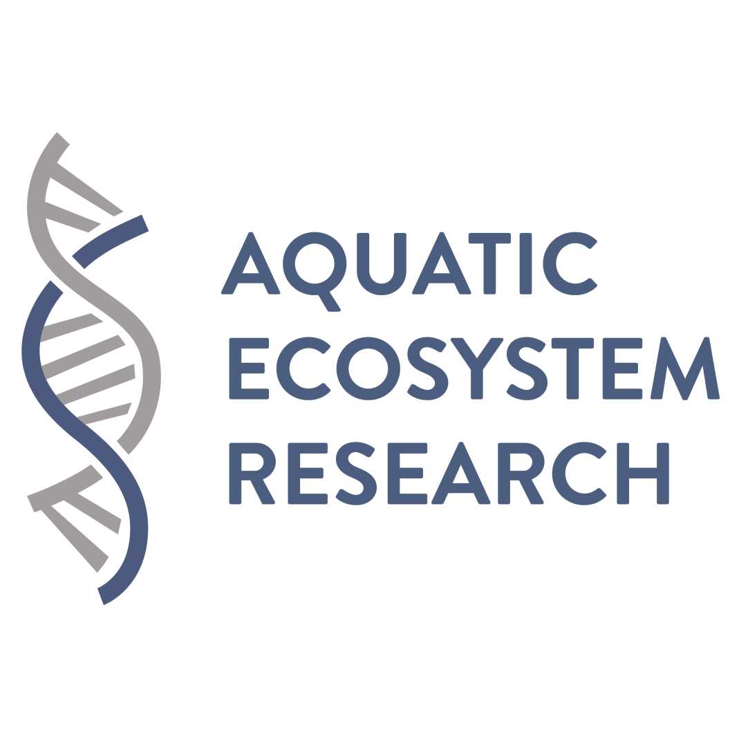 Guanidinebased DNA extraction with silicacoated beads or silica spin