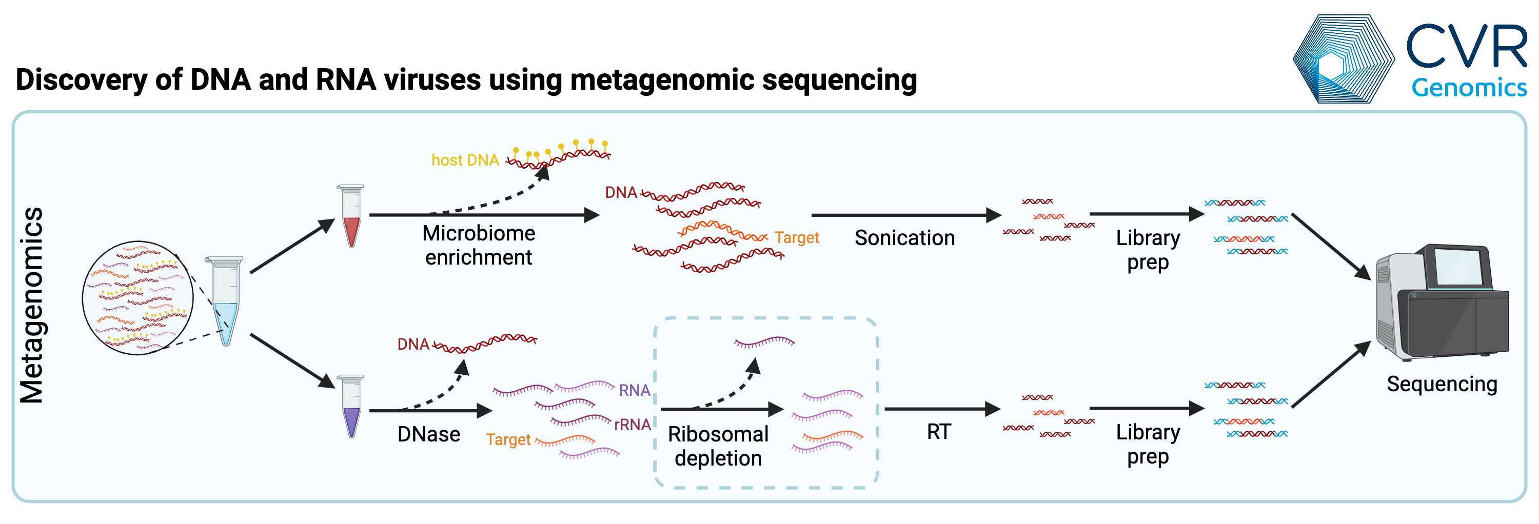 Discovery of RNA and DNA viruses using nextgeneration sequencing