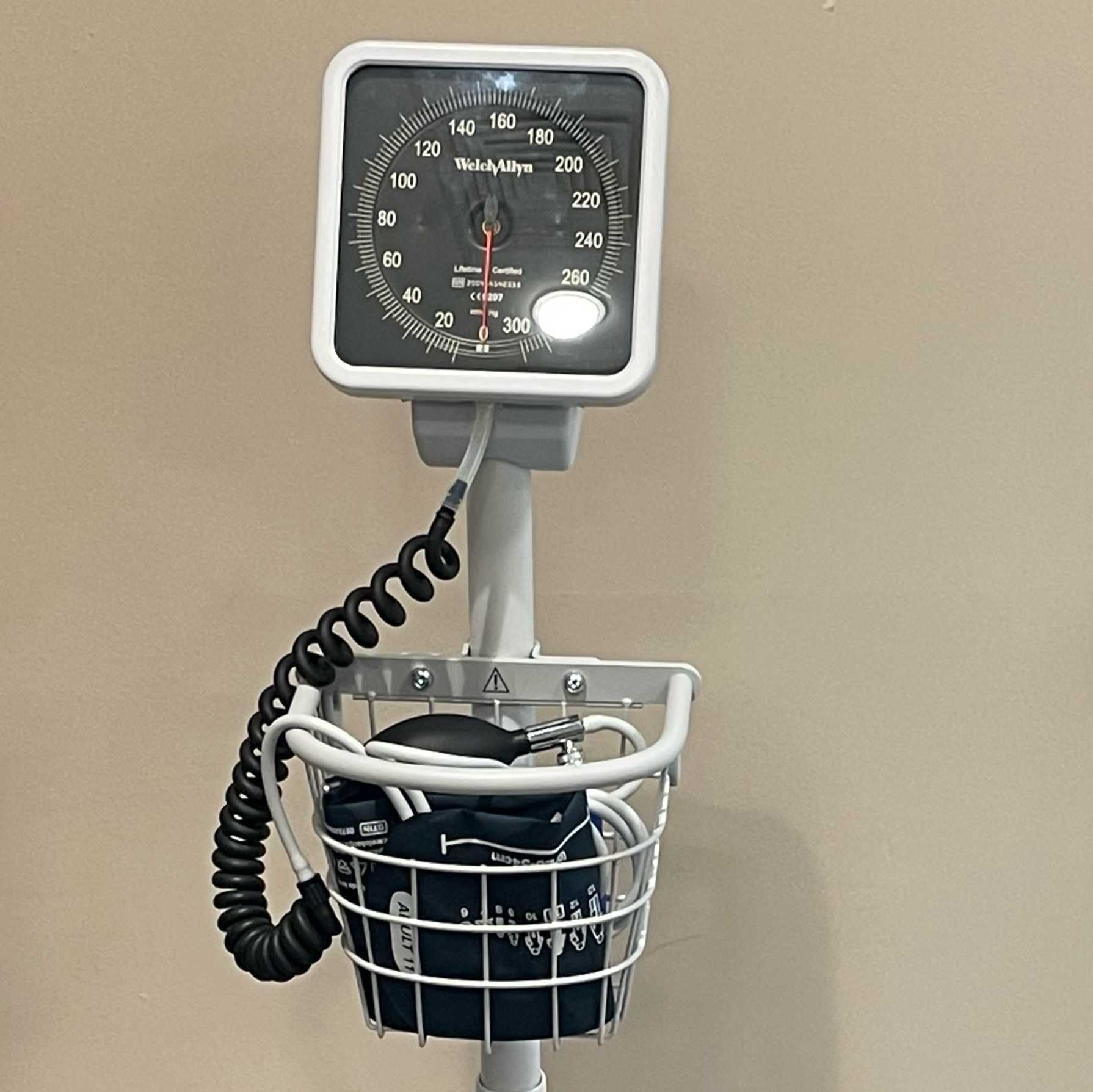 Manual Blood Pressure (Auscultation Technique)