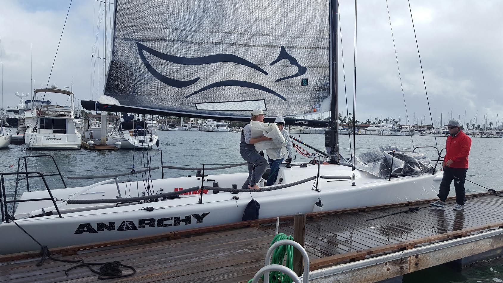 like a fox Sailing Anarchy