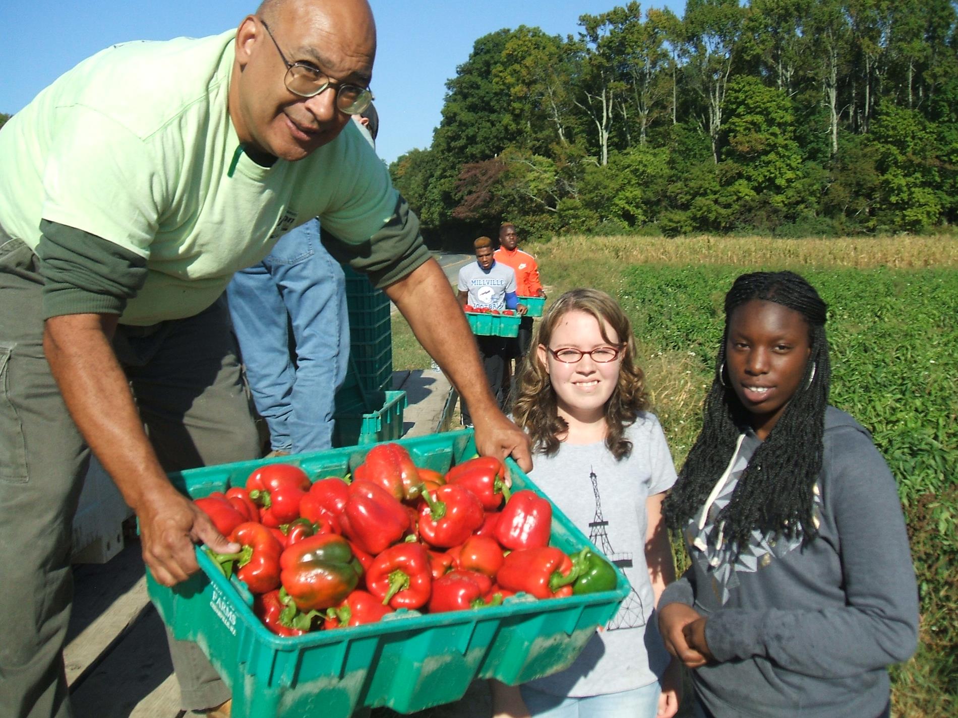Mill Creek Urban Farm/Gleaning Program
