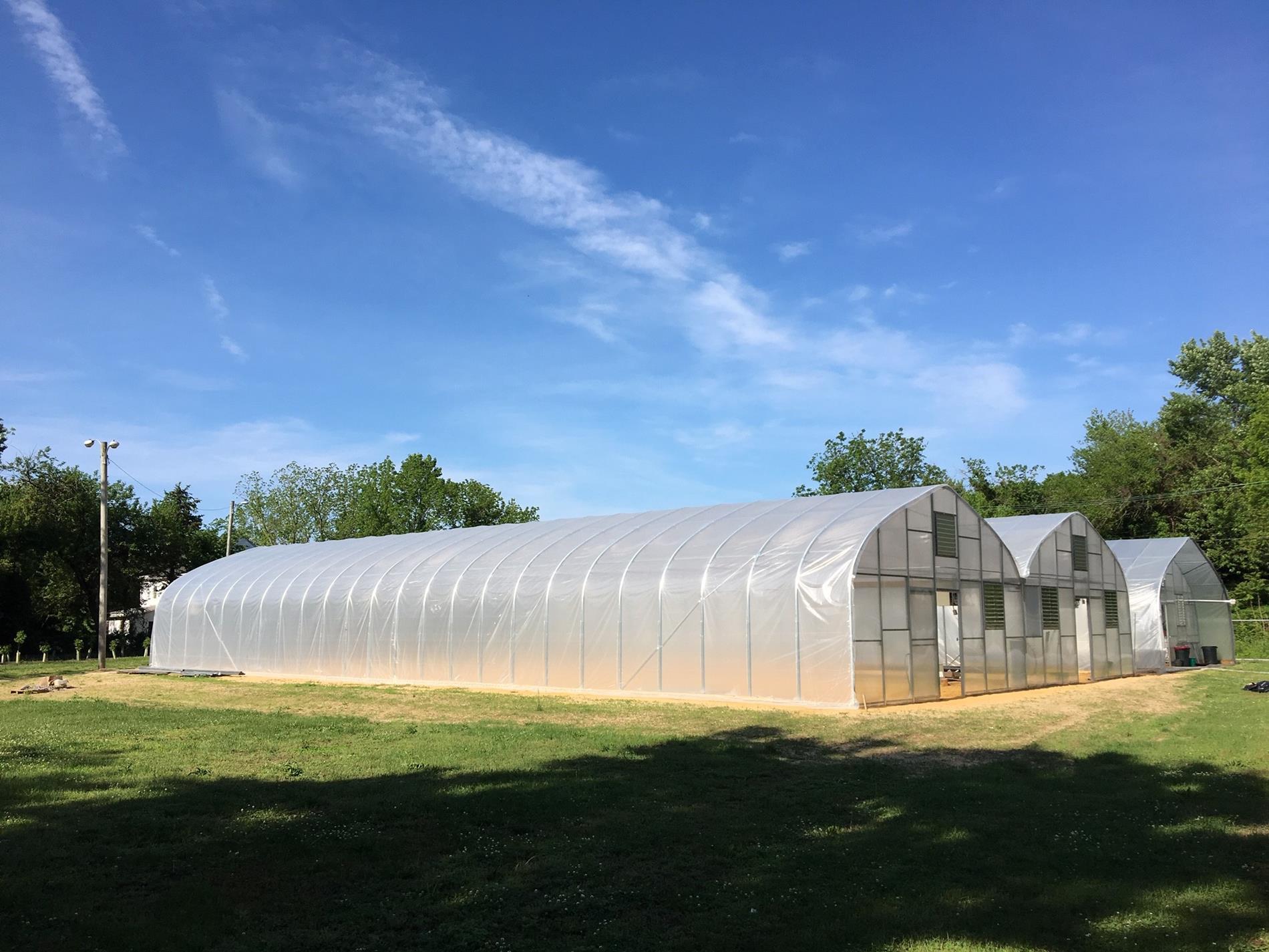 Mill Creek Urban Farm/Gleaning Program