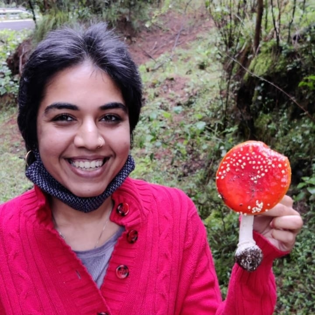 Synchro Mysticism NFT on SolSea