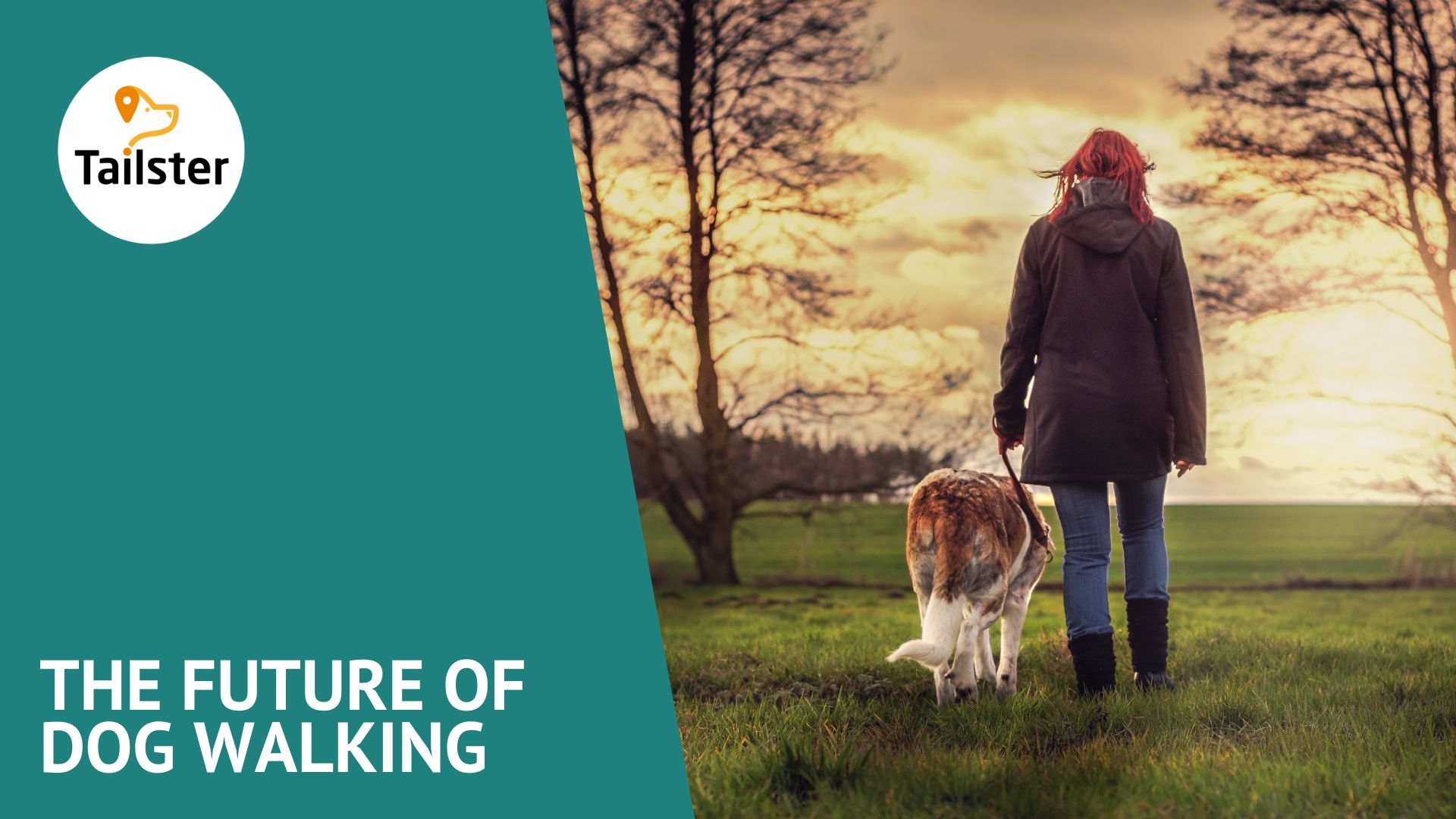 The Future Of Dog Walking Innovations And Trends To Watch For In The