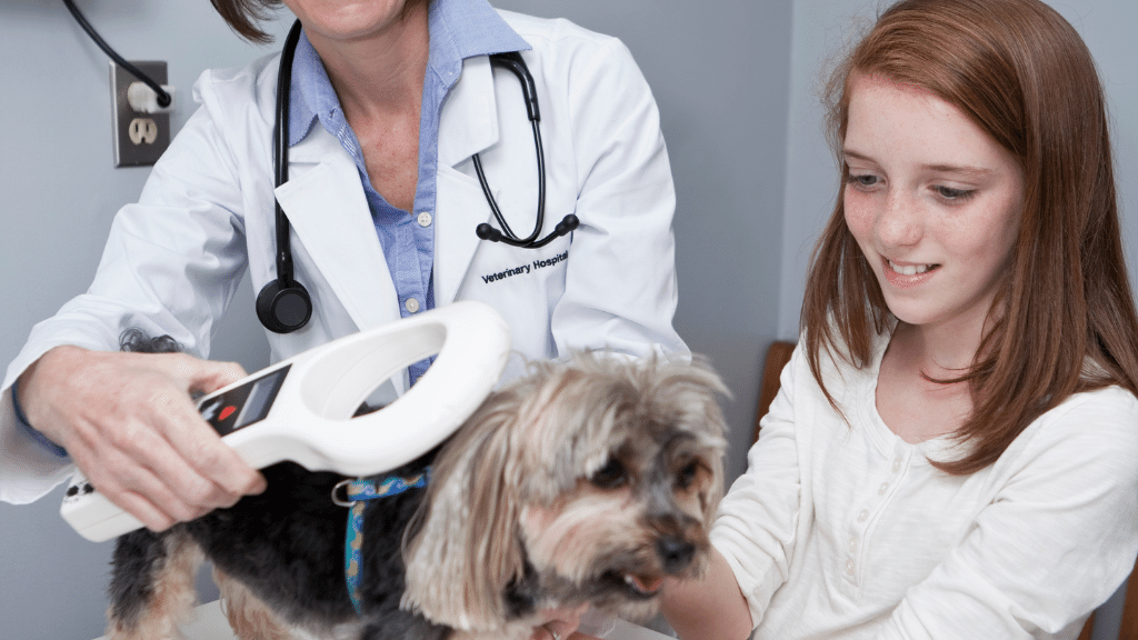 Dog Microchipping Laws What You Need To Know