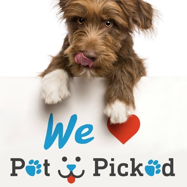 I let my dog pick her food and here’s what happened.