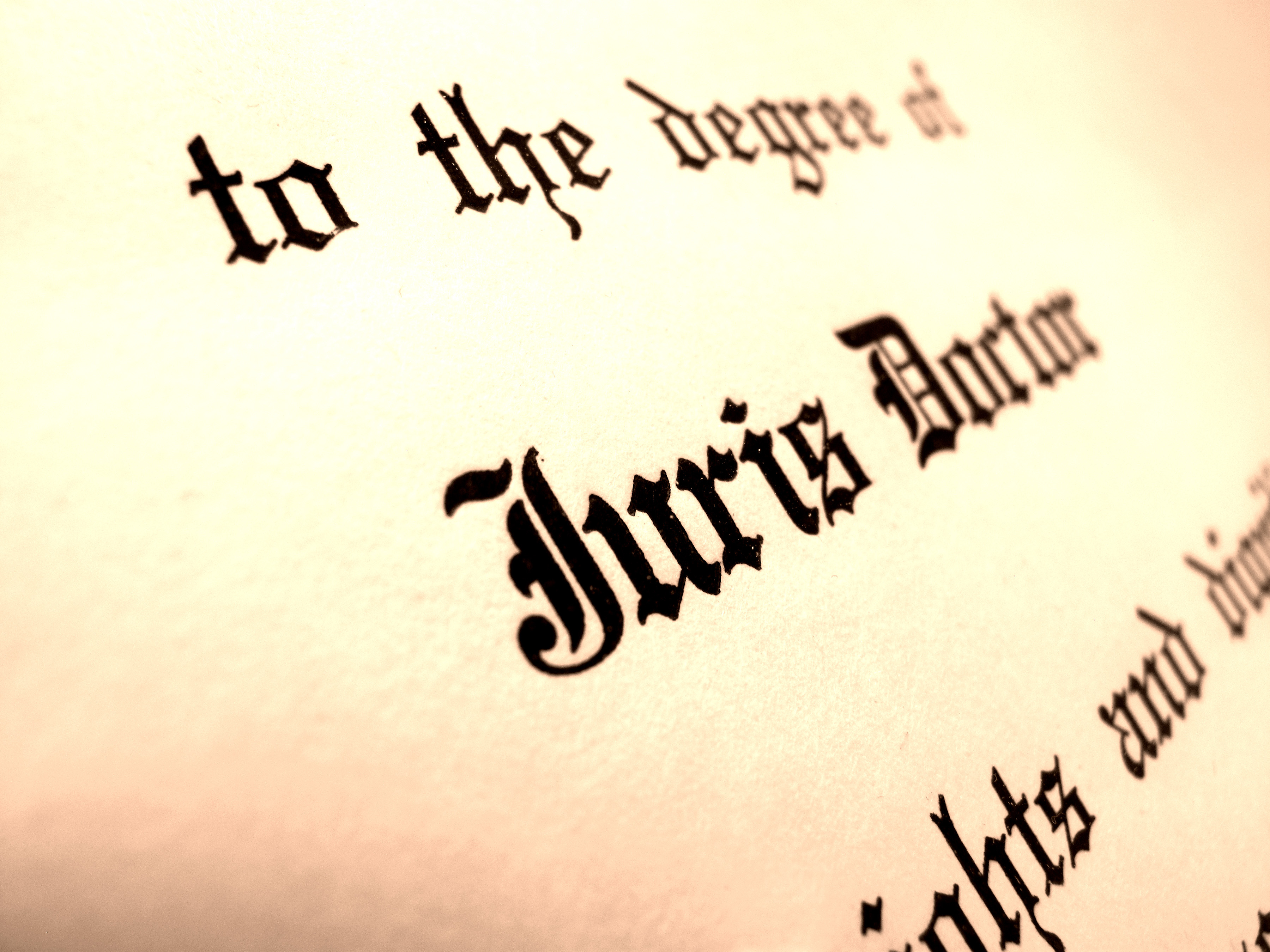 If Your Law Degree Could Love You