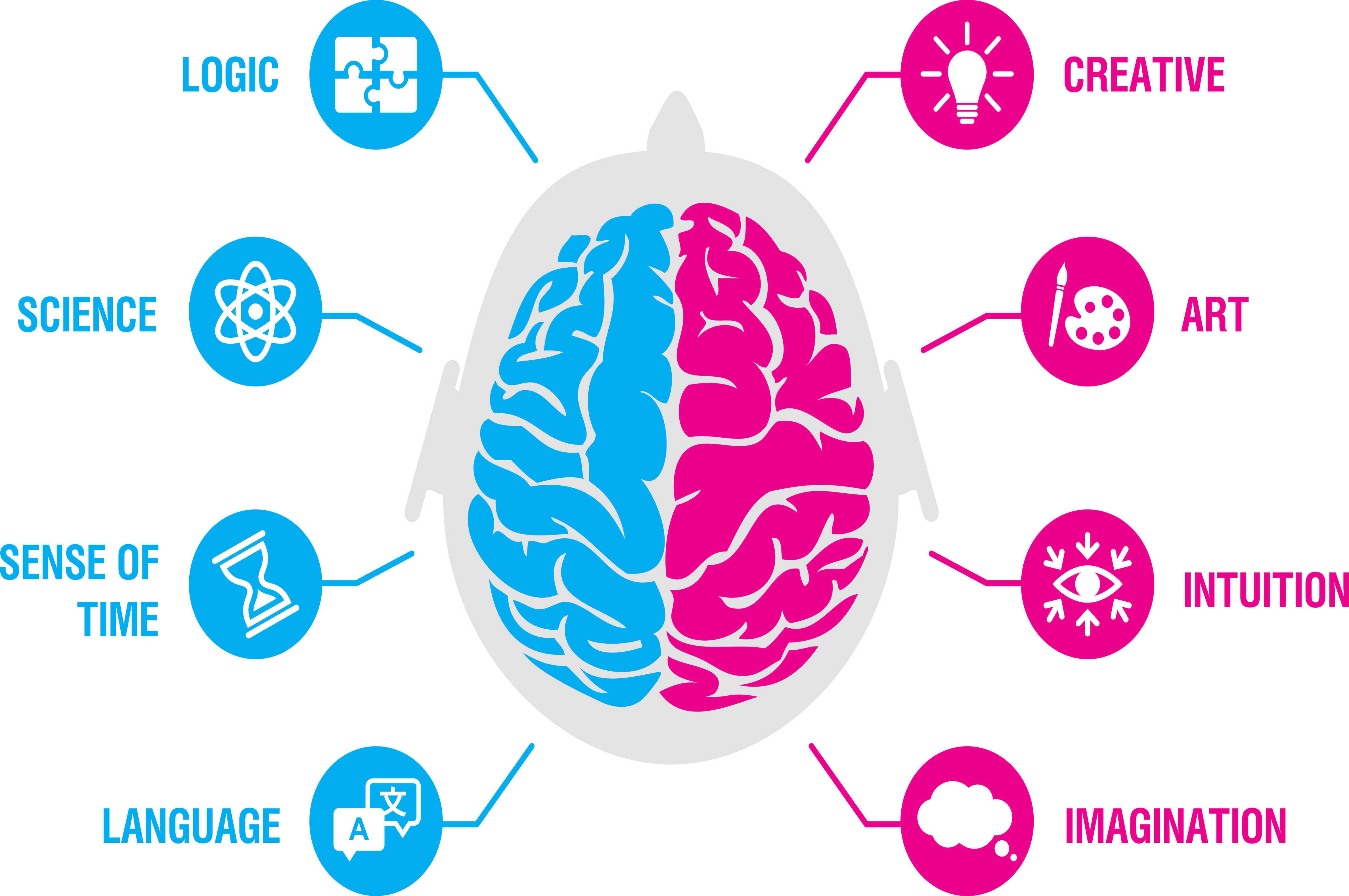 Using Intuition and Intellect When Making Decisions