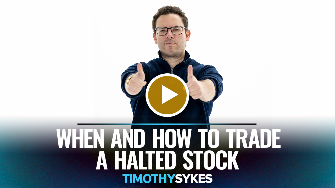 When and How to Trade a Halted Stock {VIDEO} Timothy Sykes
