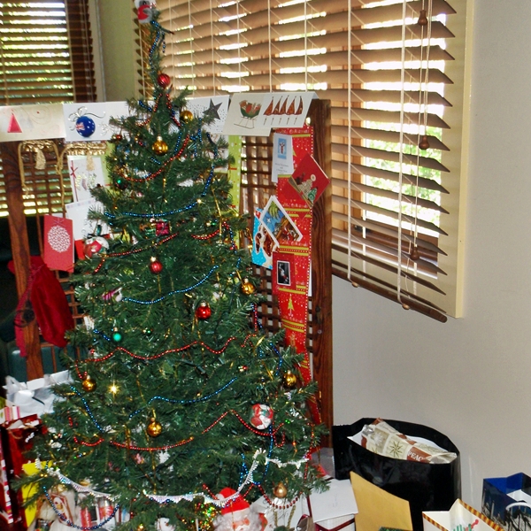 My Aussie Christmas 2010 in Photos Australia Travel Guide