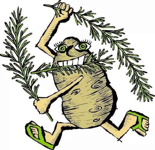 Potato Dill Bread for sale. Buy online at Zingerman's Mail Order. Gourmet Gifts. Food Gifts.