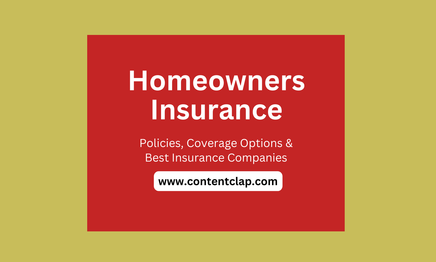 Homeowners Insurance Overview, Policies, Coverage Options, and best
