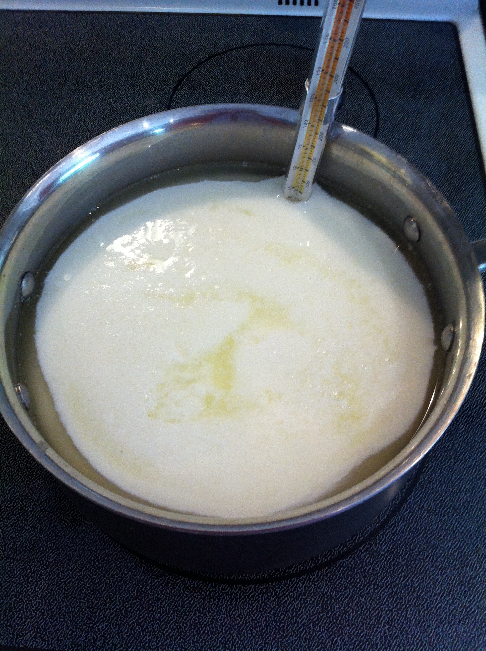 How To Make Ricotta Cheese From Yogurt Whey contentedkitchen
