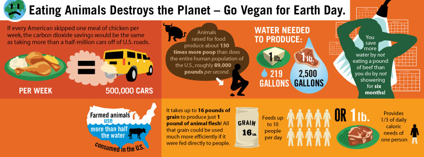 Go Vegan for Earth Day Content Geek