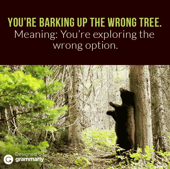 6 Puzzling Idioms Explained Now You Know What They Mean! Grammarly