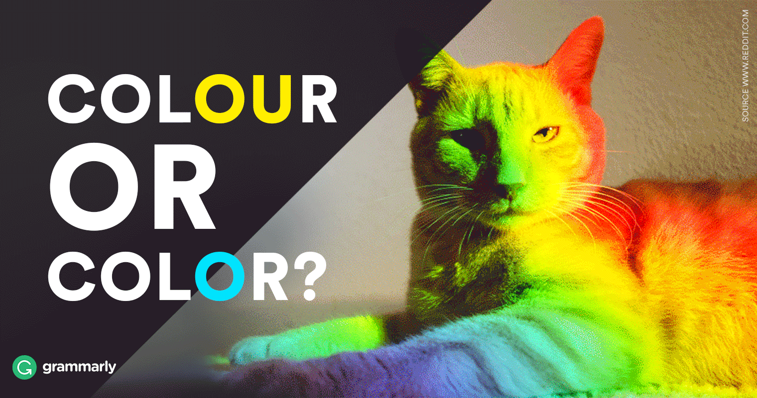 Colour or Color—Which Is Correct? Grammarly