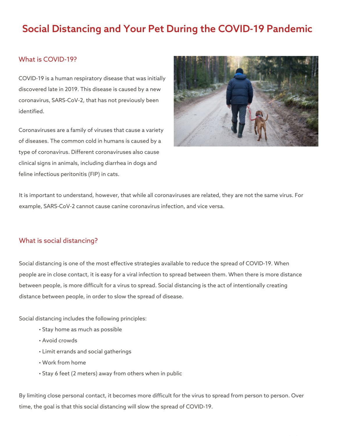 COVID19 and Our Clinic McCleary Animal Hospital