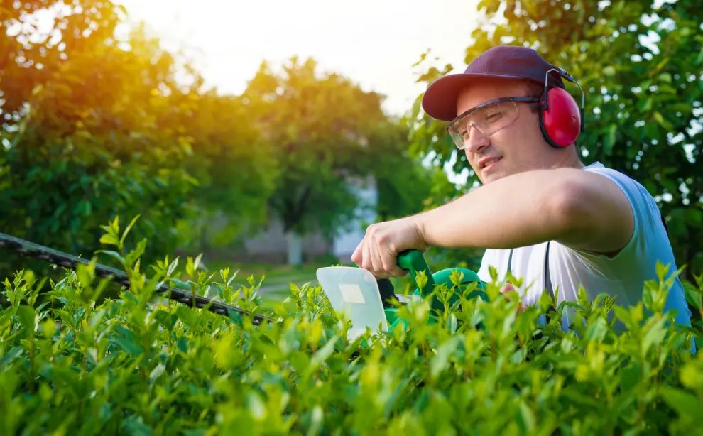 Backyard Oasis Landscape Financing for Relaxation & Entertainment