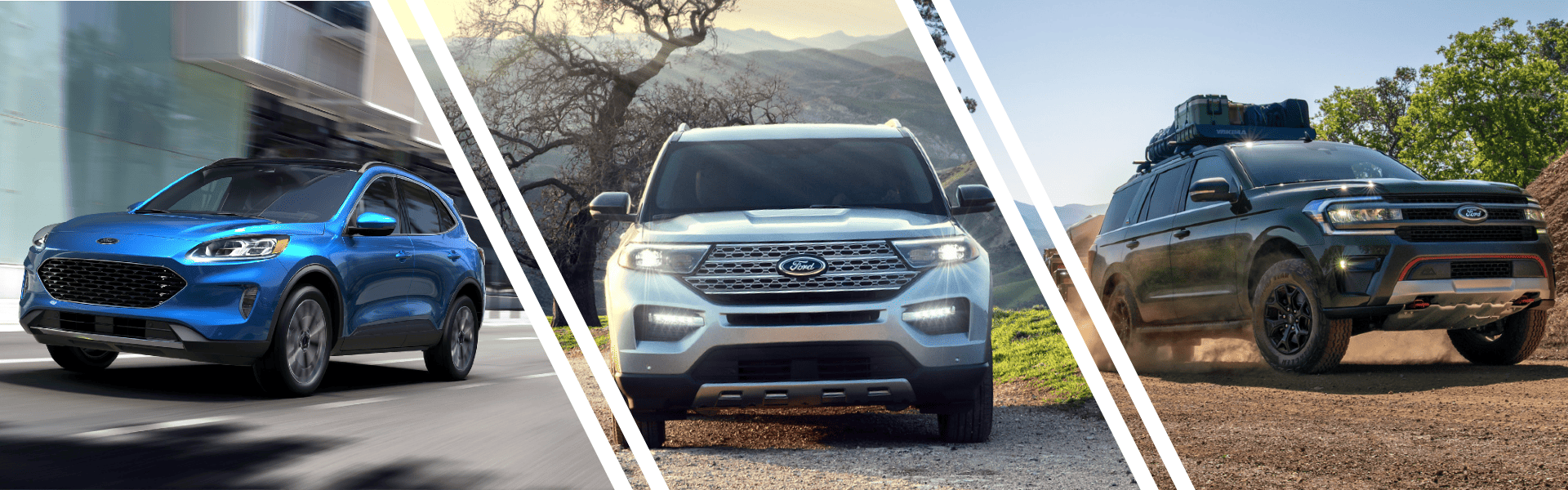 Top Used Ford SUVs for Families Forest Lake, MN