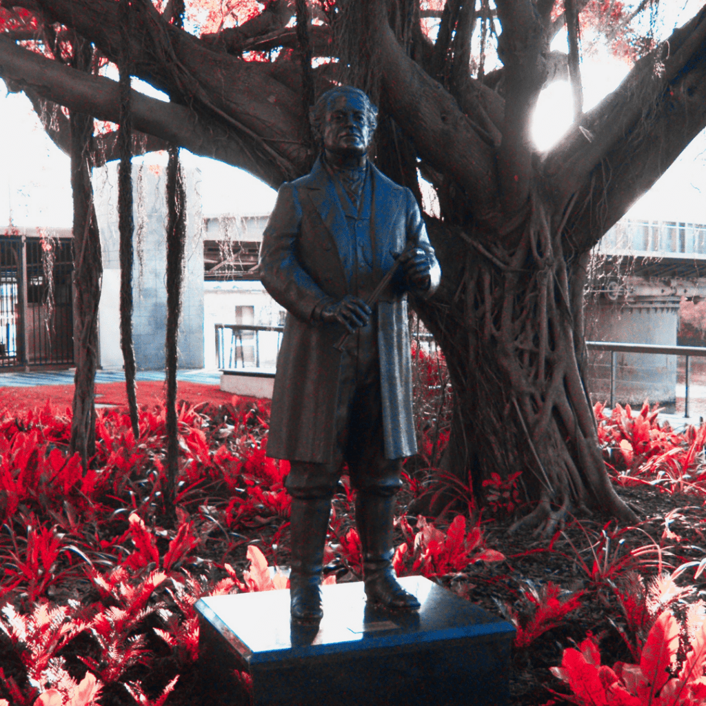 Robert Towns Statue in Townsville Contested Histories