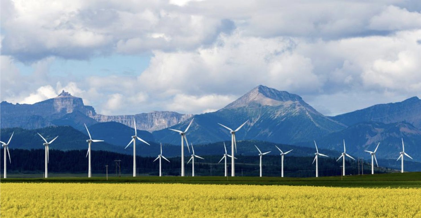 Bullfrog Power Contest Win a bullfrogpowered prize pack valued at 200