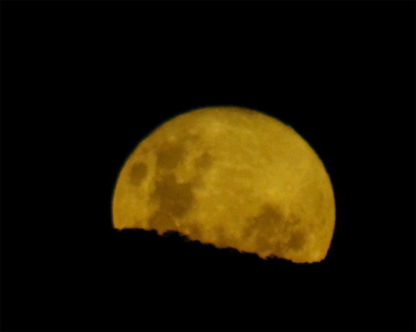 [28+] Imagem Da Lua De Hoje