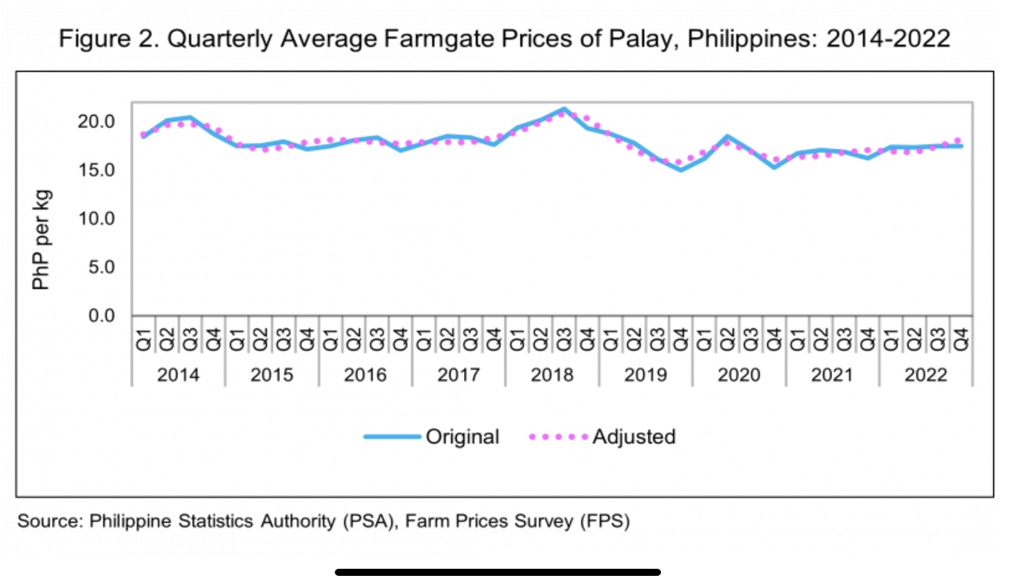 Palay farm gate price yet to hit 2018 highs—PSA data → Context.ph
