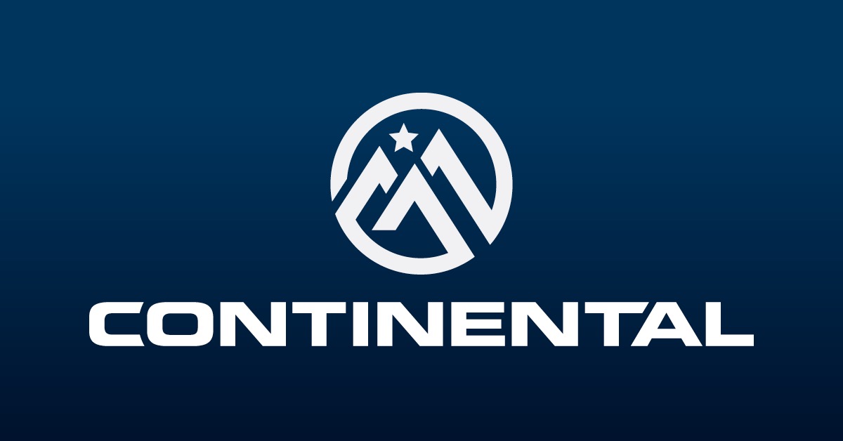 Vehicle Protection Plans Continental Auto Group