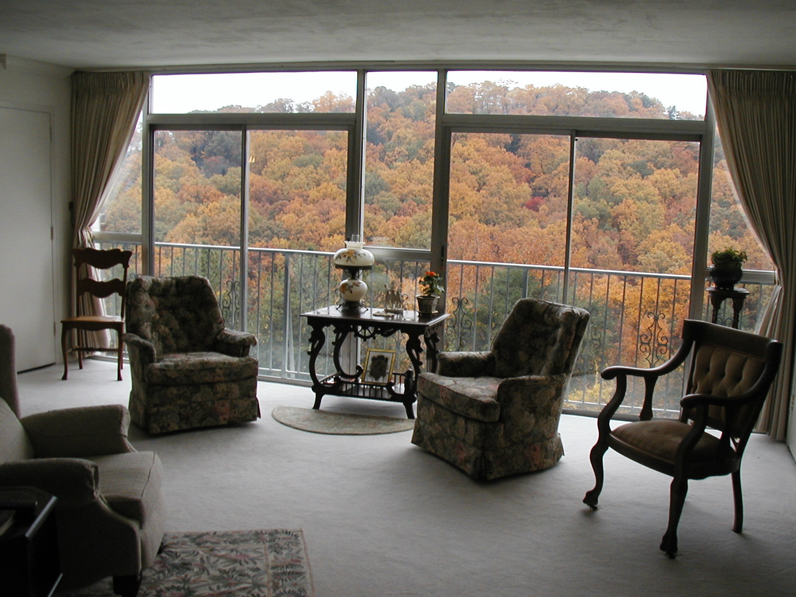 OLYMPUS DIGITAL CAMERA The Continental