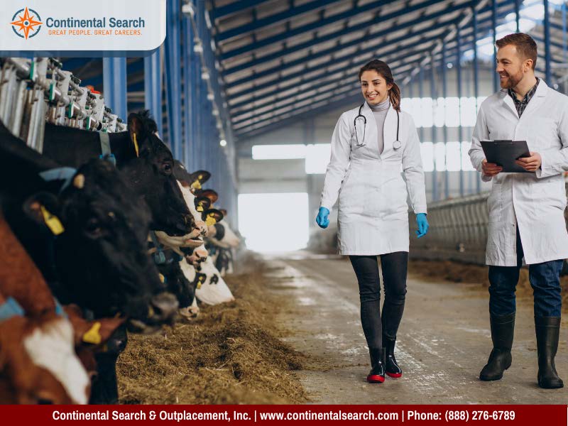 Why Your Work Environment Matters