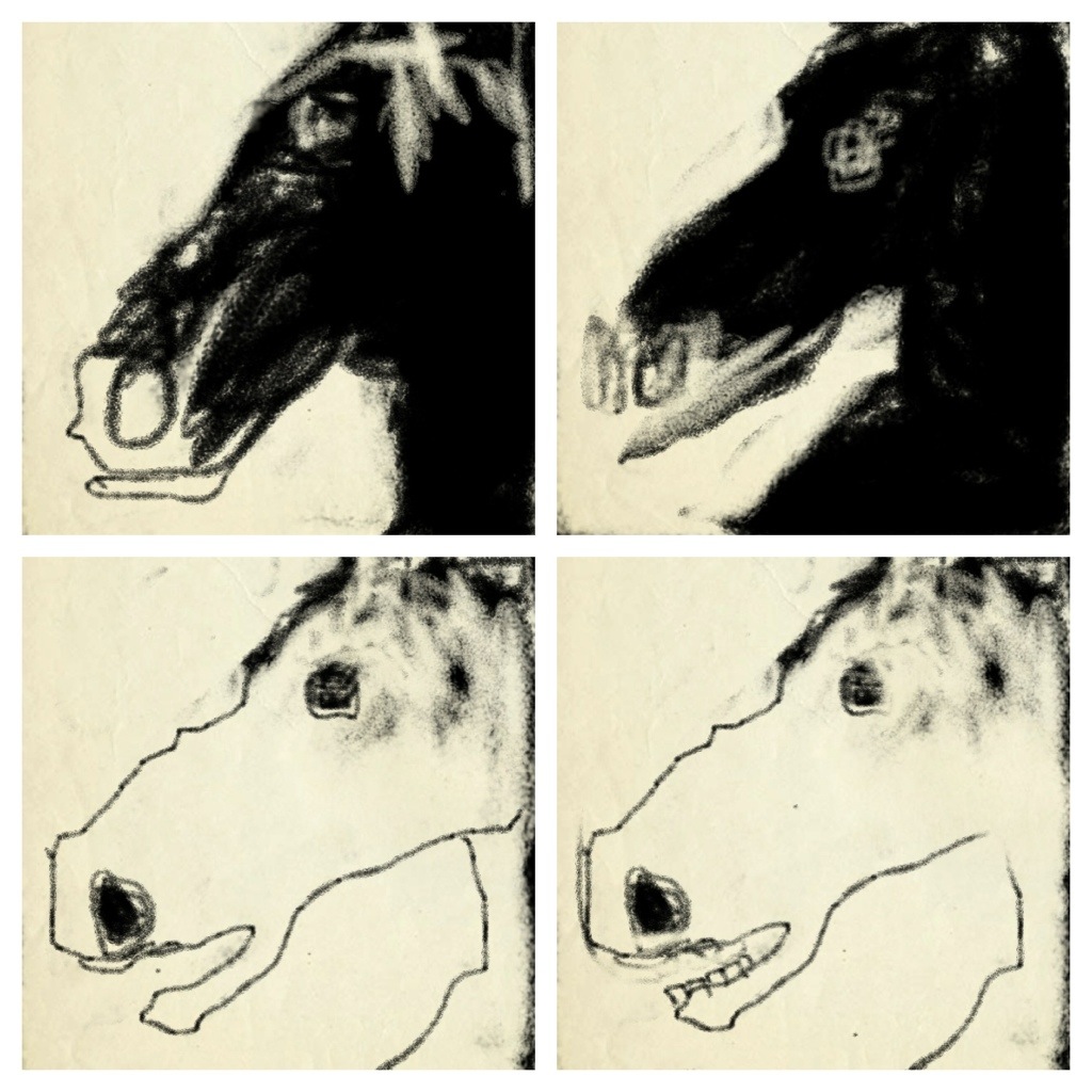 horse grid continuousdrawing