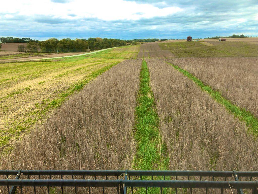 Relay Crop Trial Results CONTINUUM AG