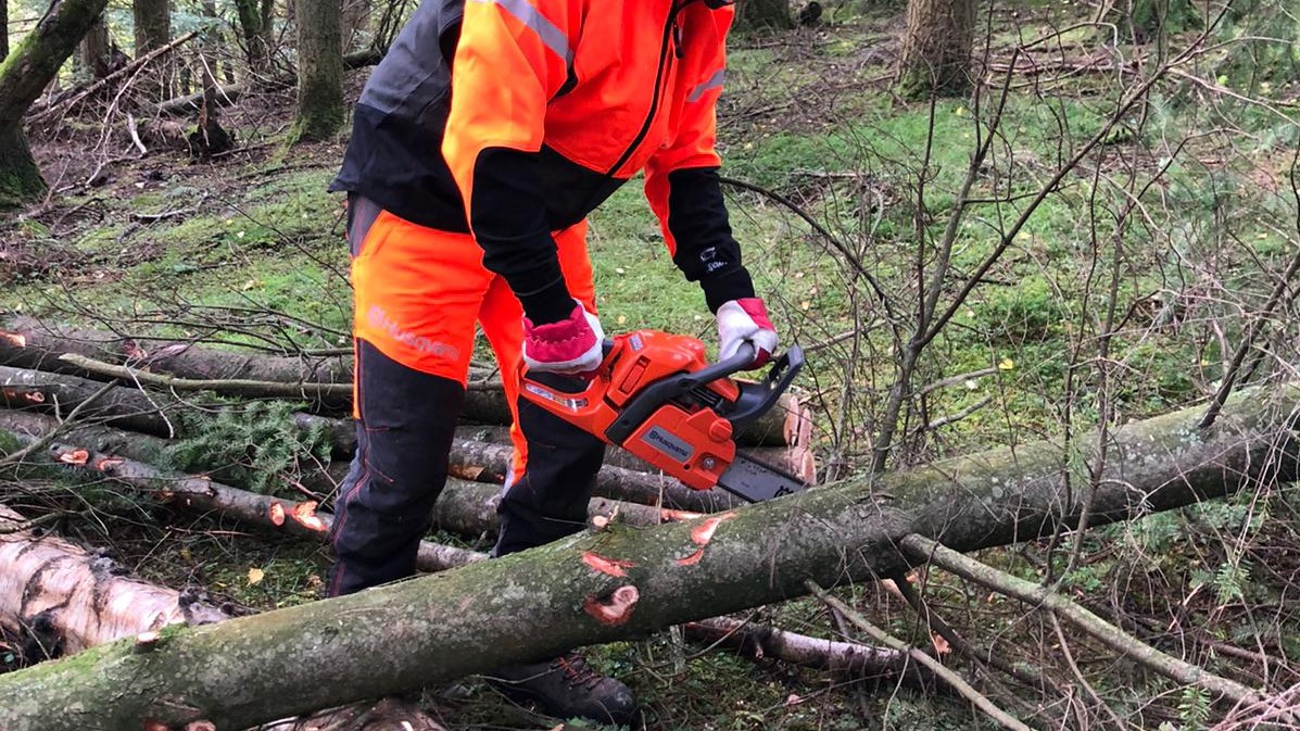 Lantra ITA Basic Chainsaw Maintenance and Crosscutting